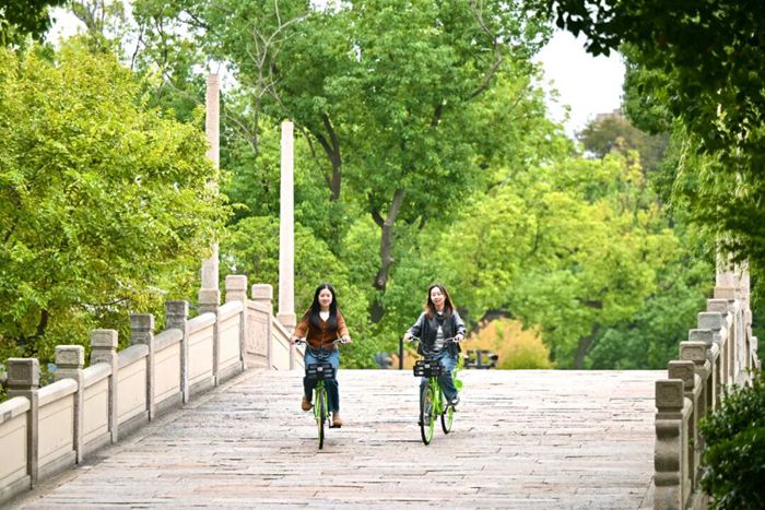 圖片5.jpg 圖片5.jpg